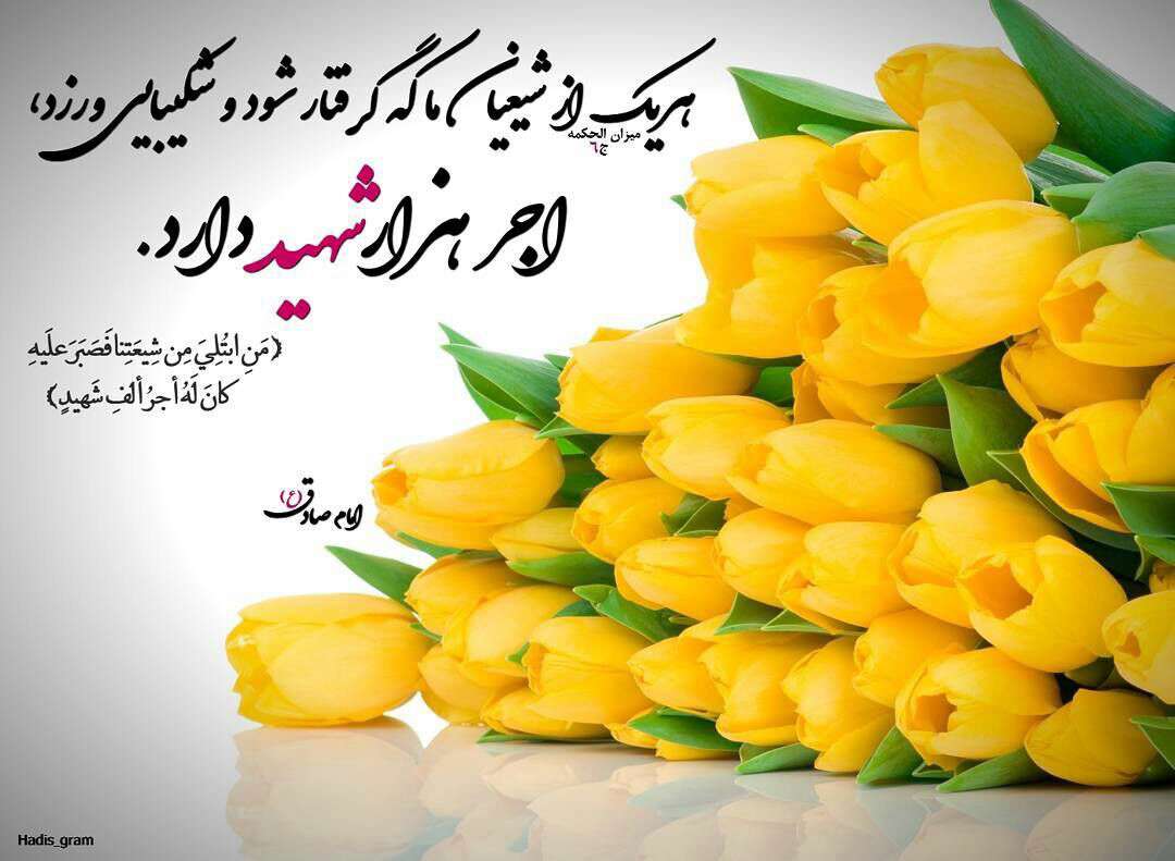 حدیثی از امام صادق در مورد شهید